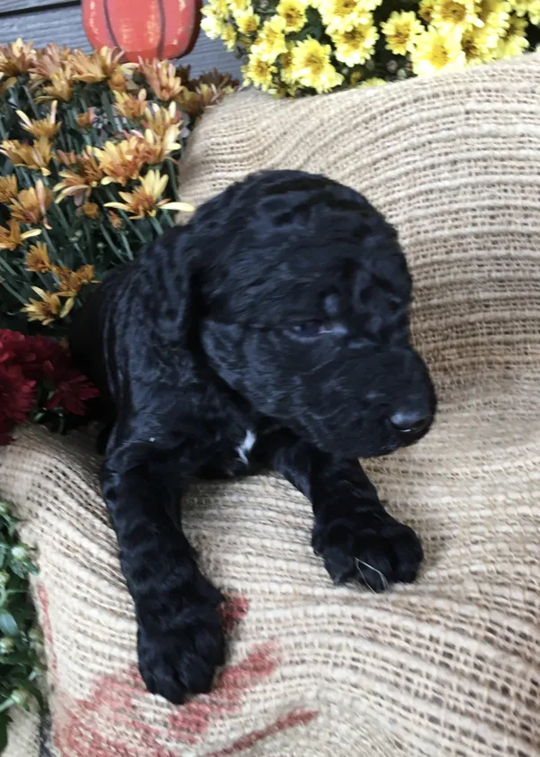 Updated Photo 11/12/2019